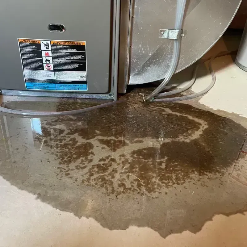 Appliance Leak Cleanup in Yakima County, WA